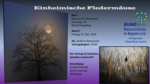 Logo Einheimische Fledermäuse