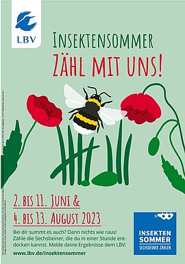 Banner Aktion 1 zum Insektensommer für Kinder und Jugendliche