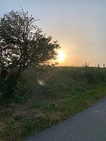 Logo 09.09.26 Trauerspaziergang am Abend