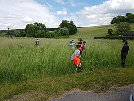 Banner Exkursion für Kinder in einer Wiese und einem Park 