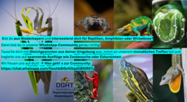 Banner Einladung in unsere WhatsApp-Community "Terraristikstammtisch Niederbayern"