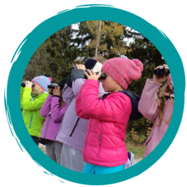 Banner Birdwatching für Kinder u. Jugendliche (ab 6 Jahren) - Familien willkommen