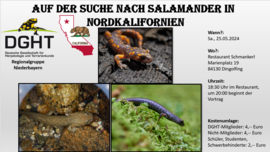 Banner Fachvortrag: Auf der Suche nach Salamandern in Nordkalifornien
