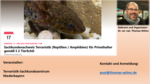 Logo Sachkundenachweis Terraristik (Reptilien/Amphibien) für Privatpersonen gemäß § 2 TierSchG