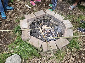 Banner Naturrallye für Kinder 