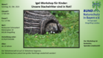 Logo Igel-Workshop für Kinder: Unsere Stachelritter sind in Not!
