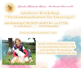 Banner Workshop Einstieg in die Tierkommunikation