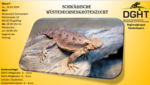 Logo Schwäbische Wüstenkrötenechsenzucht