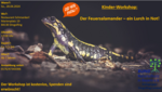 Logo Kinder-Workshop: Der Feuersalamander - ein Lurch in Not!