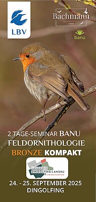 Banner Werde Vogelbeobachter*in mit Auszeichnung - Feldornithologie Bronze Kompakt-Seminar