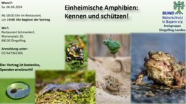 Banner Einheimische Amphibien: Kennen und schützen!