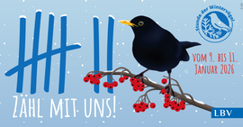 Banner Mach mit bei der Stunde der Wintervögel 2026