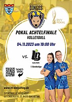Logo DVV Pokal Achtelfinale Volleyball
