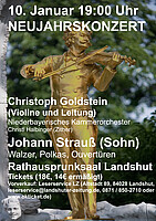 Logo NEUJAHRSKONZERT