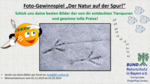 Logo Fotowettbewerb für Kinder