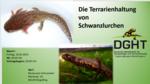 Logo Die Terrarienhaltung von Schwanzlurchen