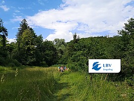 Banner Entdeckungsreise für Kinder und Jugendliche entlang des Teisbachs