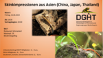 Logo Skinkimpressionen aus Asien (China, Japan, Thailand)