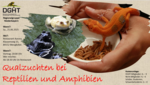 Logo Qualzuchten bei Reptilien und Amphibien