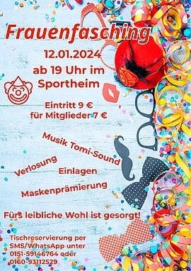 Banner Frauenbundfasching Niederalteich