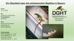 Logo Ein Überblick über die einheimischen Reptilien in Bayern