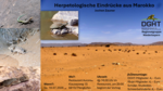 Logo Vortrag: Herpetologische Eindrücke aus Marokko