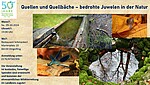 Logo Quellen und Quellbäche - Bedrohte Juwelen in der Natur