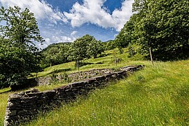 Banner Bauprojekt für Kinder und Jugendliche: Anlage einer Trockenmauer für Eidechsen & Co.