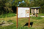 Logo Blick ins Wildbienenhaus - Offene Fragestunde