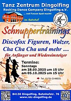 Logo Schnuppertraining Discofox Figuren Gesellschaftstanz