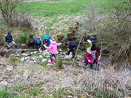 Banner Natur erkunden am Teisbach / für Kinder und Jugendliche