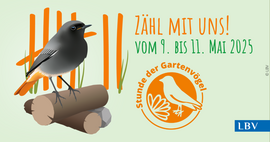 Banner Mitmachen bei der „Stunde der Gartenvögel“ – Gemeinsam Bayerns Vogelwelt entdecken!