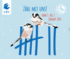 Banner Online: Mitmachaktion von LBV und NABU - Stunde der Wintervögel - beobachten, zählen, Ergebnisse melden