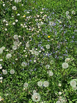 Banner Hospizbüro Landau geöffnet - neue Adresse Oberer Stadtplatz 16