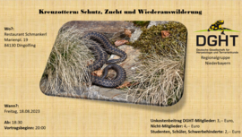 Banner Kreuzottern: Schutz, Zucht und Wiederauswilderung