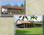 Logo ESC Dingolfing